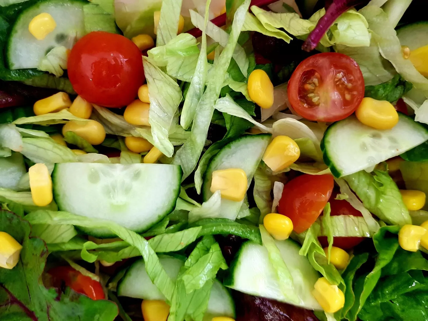 Best salad restaurants in LA