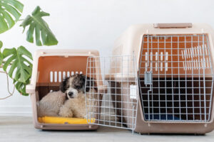 pets at home dog cage small