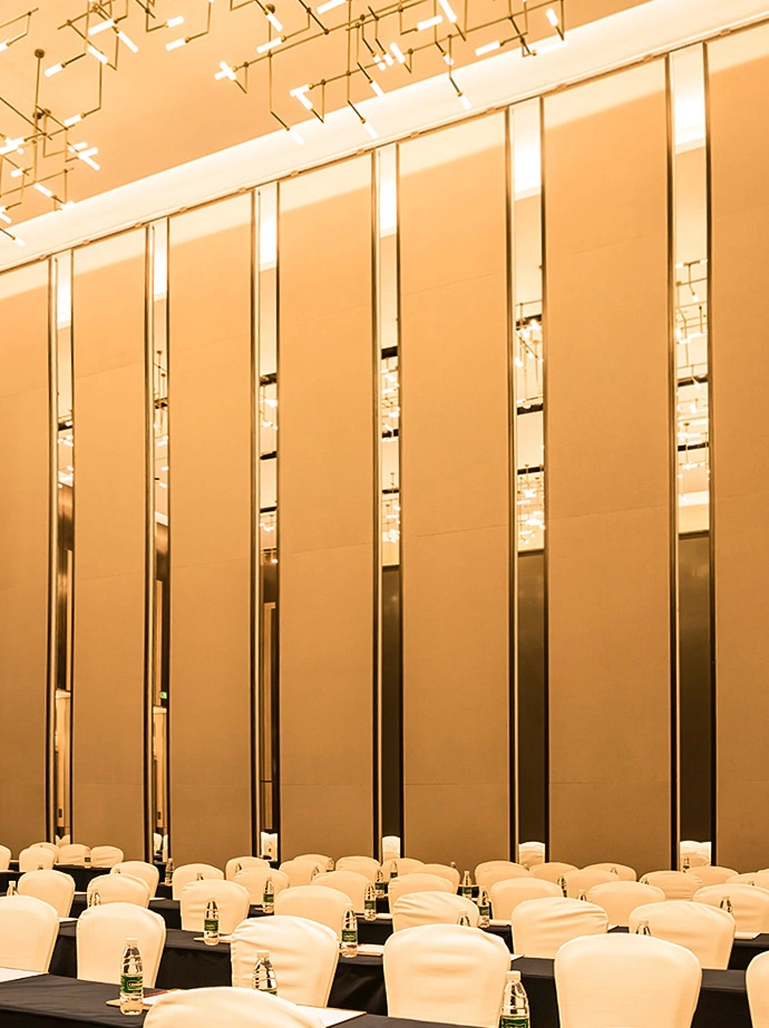 DoorFold Partition