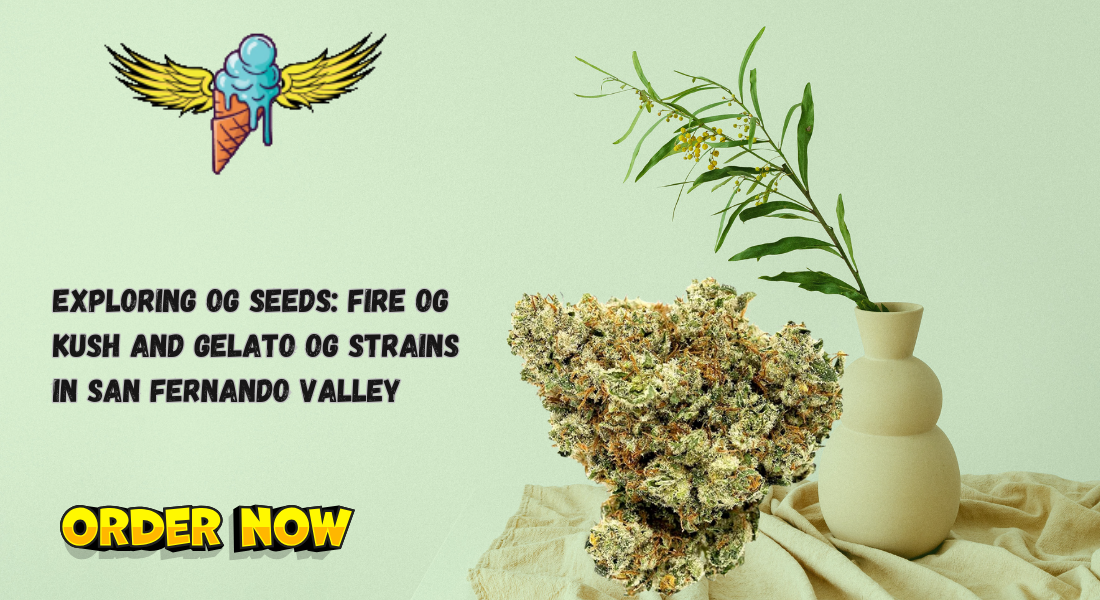 og seeds