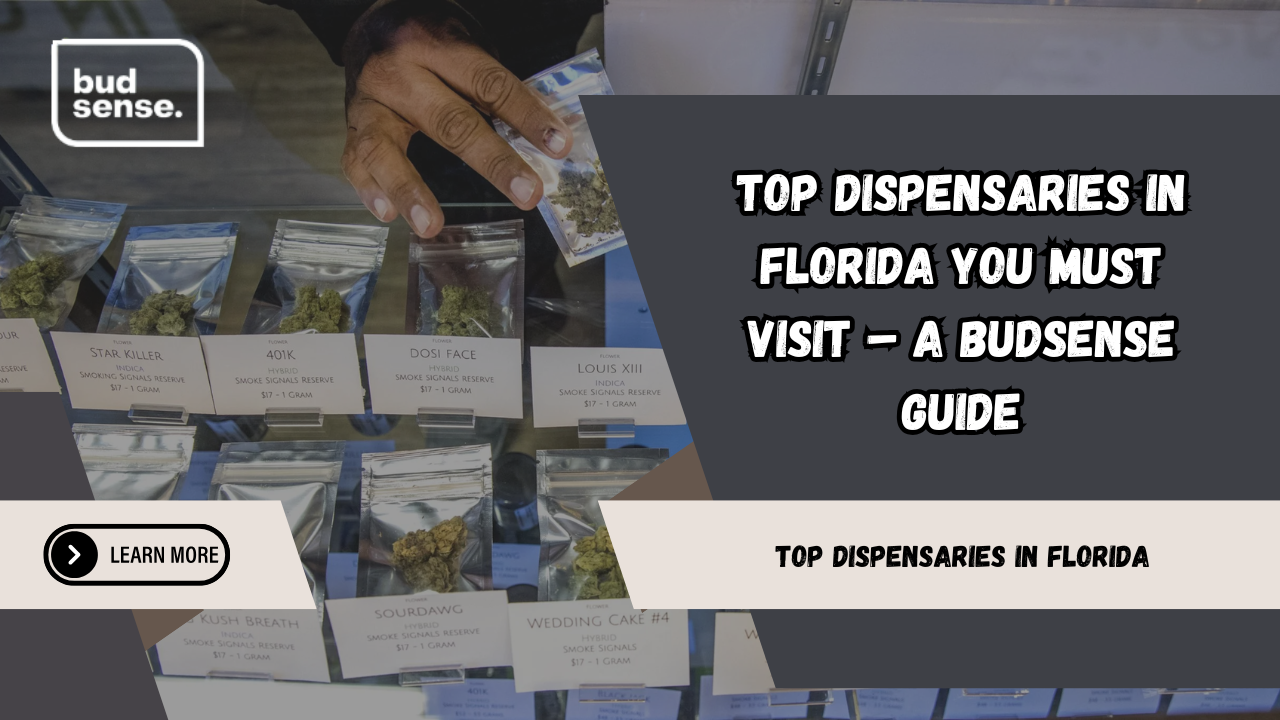 top dispensaries in florida