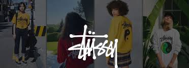 stussy hoodie