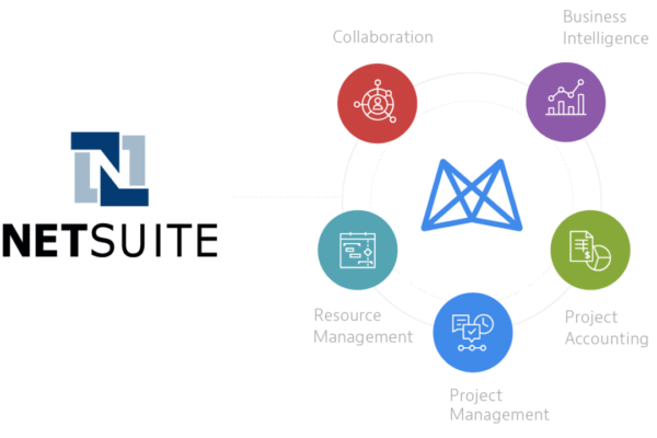 netsuite offshore accountant