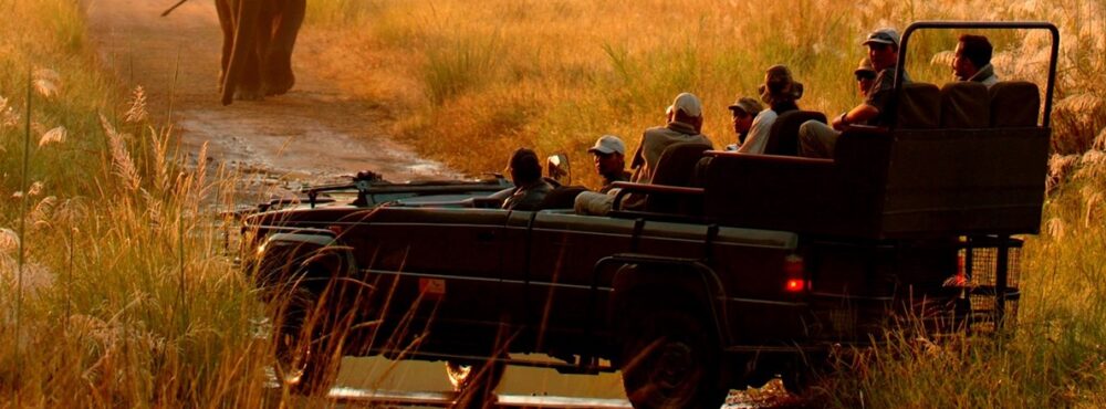 rajasthantourismbureau